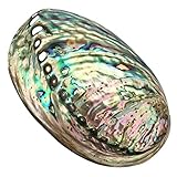 Dekoration Abalone-Muschel: Muschelgröße: 90 x 120 x 39 mm. Loch. Ca. 3 - 9 mm.