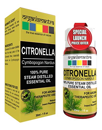 Citronella Steam Distilled Essential Oil 30ML - 100% Pure Aroma, Therapeutic Grade RS.204 (69.00% Off) - Amazon