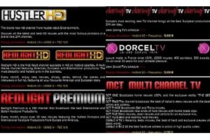X TV EliteHD: Redlight/Hustler HD Karte 9 Kanäle 12 Monate 5 HD + 4 Digitale Kanäle Viaccess inkl. PrivateTV