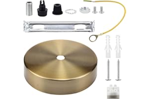 TIANFAN Techo Rosa Colgante Cable Grip Flex Abrazadera Placa para instalación de luz 100 mm Elija lámpara colgante Multi Color Full Set (French Golden)