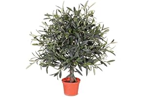 KUNSTPFLANZEN-DISCOUNT.COM Künstliches Olivenbäumchen 50cm, Durchmesser 35cm, Kunstpflanze mit 1040 Blätter und 18 Oliven - Mini Olivenbaum Oliven Kunstbaum