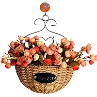 Amazon.es: Macetas colgantes: Jardín