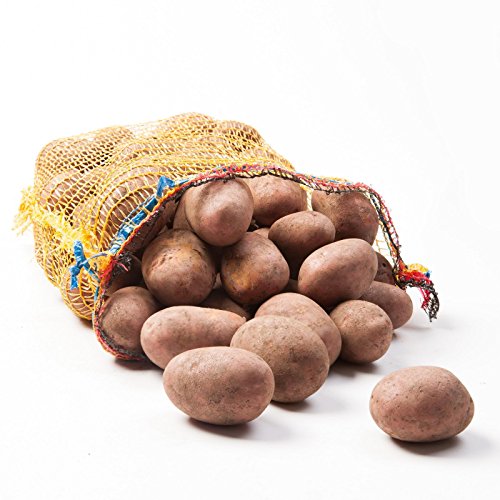 Preisvergleich Produktbild Kartoffeln Laura Speisekartoffeln 25kg