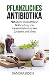 Image de Pflanzliches Antibiotika: Natürliche Heilmittel zur Bekämpfung von arzneimittelresistent