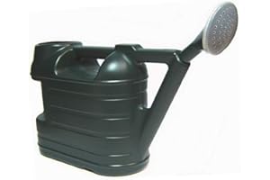 6.5L Budget Space Watering Can, Green - by MASS DYNAMIC