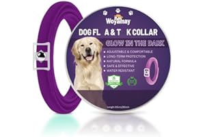 Woyamay Collare Antiparassitario per Cani, Luminoso Collare Antipulci Cane Impermeabile, Regolabile Collare Antizecche per Cani Naturale 8 Mesi di Efficacia Protezione per Tutti i Tipi di Cani, Viola