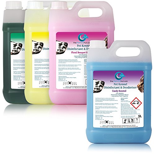 20-Litres-of-The-Chemical-Hut-Concentrated-Kennel-Disinfectant-Deodouriser-Cleaner-in-Various-Fragrances-Candy-Lemon-Pine-Floral