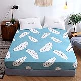 cubrecolchon sábanas y edredones sábanas y funda de nórdicos sábanas y fundas de almohada cubierta de cama elástica cubierta de camara cubierta de cama cubierta de cama de 135 cubierta de cama impermeable cubierta de cama de piedras cubierta de cama 150 cubierta de cama india cubierta de cama de 135 unicornio ropa de cama 150x200 ropa de cama 135x190 ropa de cama 90x190 ropa de cama 150x190 ropa de cama 160 x 200 ropa de cama 200x200 ropa de
