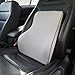 Love Home Premium Memory Foam Car Lumbar Cushion & Car Neck Pillow Kit (Grey)