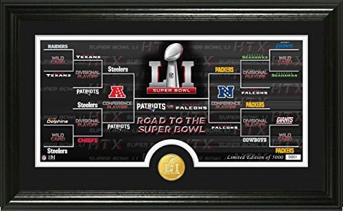 NFL Patriots Vs Falcons Highland Mint road to Super Bowl 51 Panoramic Bronze Coin Photo Mint, Black