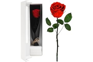 YNNHUDEEP Ewige Rose Rot mit Stiel - Echte konservierte Rose in Premium Geschenkbox, 3-5 Jahre haltbar,für Frau,Freundin,Oma,Valentinstag,Weihnachten,Muttertag,Geburtstag,Hochzeitstag,Jahrestag-Rot