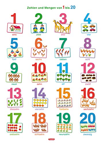 Fragenbär-Lernposter: Zahlen und Mengen von 1 bis 20 (in der Schulbuch-Druckschrift) M 50 x 70 cm: Gerollt, matt folienbeschichtet, abwischbar (Lerne mehr mit Fragenbär)