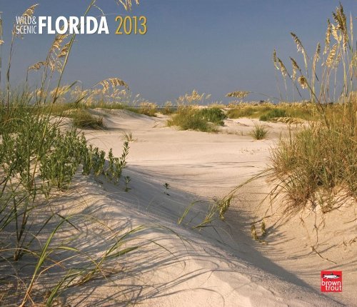 Florida, Wild & Scenic 2013 Deluxe Wall (Multilingual Edition) by BrownTrout Publishers (2012-07-09)