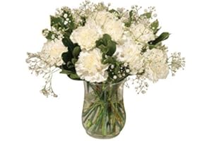 SENDABUNCH White Carnation Bouquet and Comes With Our 14 Day Freshness Guarantee.