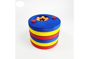 CONSTPROG Discos flotadores de brazo para niños, 6 unidades, bandas de brazo desmontables de espuma EVA para piscina