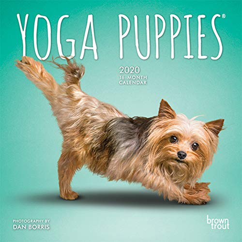Télécharger Yoga Puppies 2020 Calendar Francais PDF