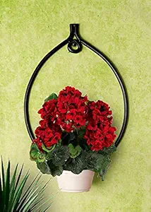 Devasmita Wall Mounted Powder Coated Iron Plant Stand Wall Planter for Balcony for Diwali Gift or Decoration (Ovel Shape)
