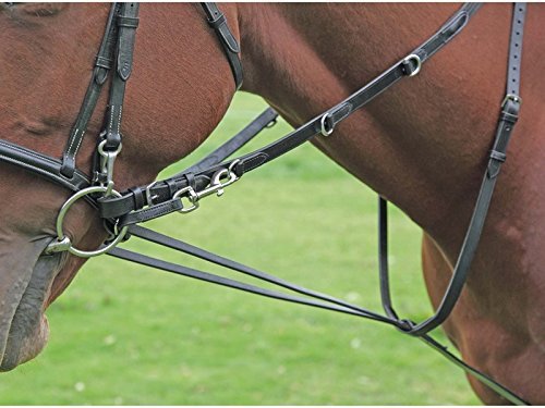 Preisvergleich Produktbild Shires German Martingale Cob Havana by Shires