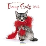 Funny Cats 2016: Broschürenkalender mit Ferienterminen by 