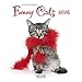 Funny Cats 2016: Broschürenkalender mit Ferienterminen by 