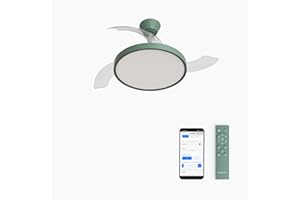 CREATE / WIND CLEAR STUDIO S/Ventilatore da soffitto con luce verde salvia con WiFi e telecomando / 40W, Pale retrattili, Ø91 cm, funzione estate-inverno