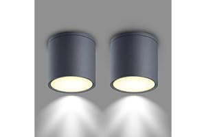 EBION Ceiling Lights 2 Pack,IP54 Waterproof Surface Mounted Downlight,GU10 Ceiling Spot Lights, Aluminum Flush Ceiling Lighting Fixture for Bedroom,Living Room,Bathroom,Hallway,Office,Anthracite