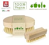 Spazzola vegana. Set per la pulizia di frutta, verdura e tartufi. Spazzola in legno naturale e tampico. Spazzola vegana. Interamente prodotto in Italia.