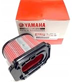 Daytona Zontes 125 Series (20-23) DNA Air filter P-DA15N21-01