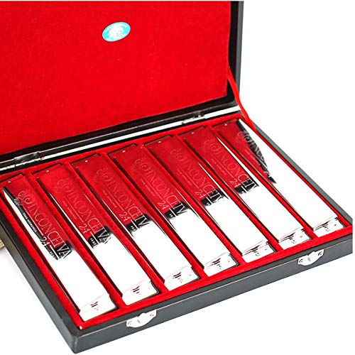 CHENTAOCS Harmonica Tremolo 24 trous, Performance professionnelle, Costume 7 tons / 12 tons, Boîte cadeau ABCDEFGA # C # D # F # G # Haute qualité (Style : 1)