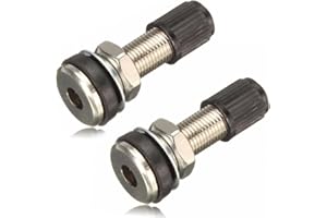 BINQILIN 2 pièces TR161-33mm Tiges de Valve de Pneu en Métal，tiges de Valve de Pneu pour Moto de Voiture