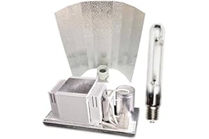 KEBONDS ECO Kit Luce Indoor Economico 600W Agro