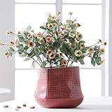 ✿Pflanzenparadies: Es ist ein ideales Zuhause für Sukkulenten, Kakteen, Kräuter und Moos.Es ist nicht nur ein Geschenk Ihrer Familie oder Freunde, sondern auch ein Geschenk Ihrer kleinen Pflanze.Es besteht kein Zweifel, dass Ihre Pflanze dieses Haus sehr lieben wird.