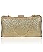 Kleio Bling Bling Party / Wedding Sling Box Clutch for Women / Girls RS.1199.00