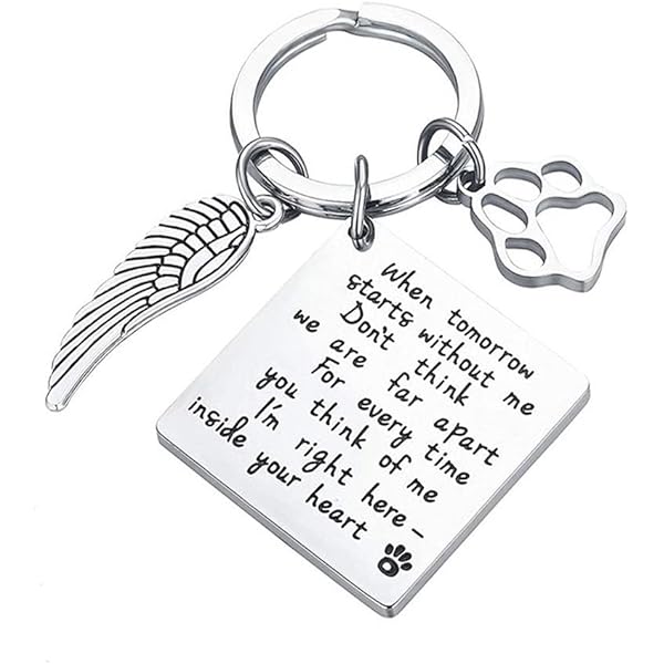 Gepersonaliseerde sleutelhanger met gegraveerde naam en vleugel, sleutelhanger ter nagedachtenis aan een huisdierportret, aandenken aan een huisdier, cadeau voor een dierenliefhebber/eigenaar/hondenmoeder