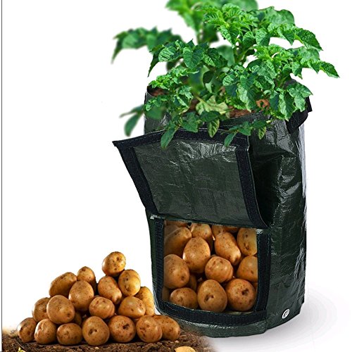 2 pezzi giardinaggio Spring secchio, da giardinaggio Trash Lawn Leaf bag, Grow bag, borse, vaso con rifiuti di