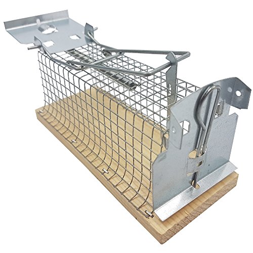 proheim Mause-Falle 15 cm 2er Sparset Lebend-Falle für Mäuse tierfreundliche Drahtkasten-Falle mit 1 Eingang hygienische Tierfalle - 6