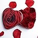 Produktbild Rosenherz ewige Rosen lang haltbar 3 Jahre Blumen-Geschenk für Damen/Blumengesteck / Rosenbox ROSEMARIE SCHULZ (Klein, Rot-Variation)