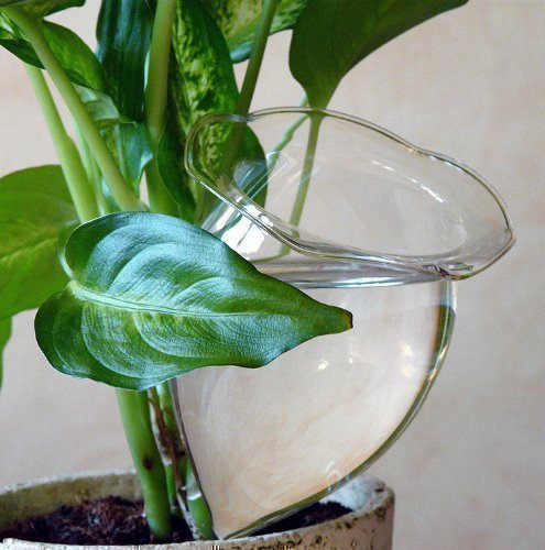 4 Durstkugeln Bewässerungskugeln Durstkugel Pflanzensitter GFGR