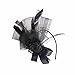 ACTLATI Retro Heandband Netting Race Flower Hair Band Black Feather Cocktail Party Headwear RS.1639.00