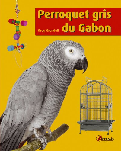 Download Perroquet gris du Gabon Download Perroquet gris du Gabon