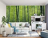 ★ Größe: 250x175 cm Große 3D-Tapete, grüner Bambus, reiner frischer Bambus der natürlichen Landschaft, Schlafzimmer-Tapete des Wohnzimmers 3d 250x175cm