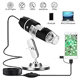 8 einstellbare LEDs: Die Helligkeit kann über die Rolleneinrichtung in der Linie eingestellt werden.