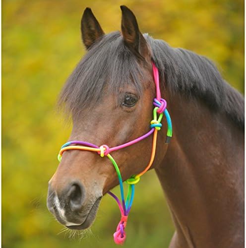 Knot Halter Paretti Hands For Training, Floor Work or Lunging and riding | Side Pull Bridle gebisslos | Bitless
