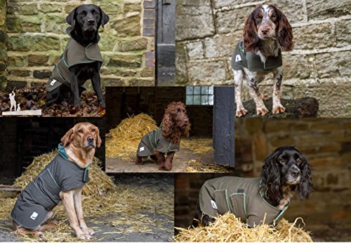 Dog-Field-2-in1-Fully-Waterproof-Dog-Coat-Microfiber-Lined-Drying-Jacket-Sizes-XS-XL