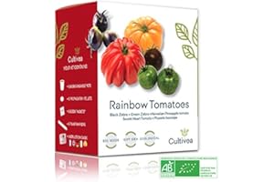 CULTIVEA® Mini Kit Huerto de Tomates Arcoíris – 100% Semillas Bio - Jardina, Decora y Degusta - Idea de Regalo (Cebra Negra y Verde, Tomate Hawaiana, Tomate de Corazón Dulce, Physalis Ixocarpa)!