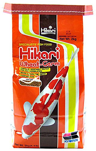 Hikari EE. UU. Inc ahk06370 Germen de Trigo 4.4LB, tamaño Mediano