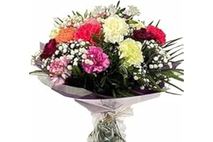 SELL FLOWERS ONLINE Fresh Feelings- Fresh flowers - Next Day Bouquet Delivery - Anniversary Flowers - Birthday Flowers - Thank you Gift. Fresh and Long-Lasting Bouqet of Carnations