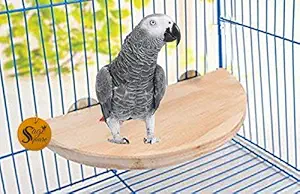 8.5 Inches / 21.5 cm Natural Wood Platform Cum Perch Cum Stand Bird Toy Ideal for Lovebird, Budgerigar, Sun Conure, Pionus, Quaker Parrot, Cockatiel, Finch, Canary, Budgeri (Light Weight)
