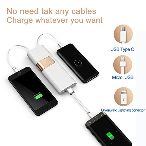 iWALK 20000mAh Avec Type C   Micro USB C  bles Ligthning Connecteur Batterie Externe Chargeur QC3 0 Portable Grande Capacit   Power Bank Pour Samsung 
