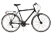 Produktbild KS Cycling Herren Fahrrad Trekkingrad Norfolk RH 53 cm Flachlenker, Schwarz, 28, 141T